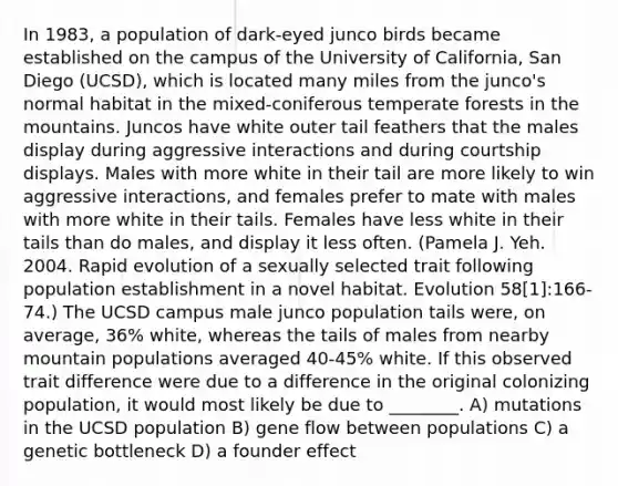 In 1983, a population of dark-eyed junco birds became established on the campus of the University of California, San Diego (UCSD), which is located many miles from the junco's normal habitat in the mixed-coniferous temperate forests in the mountains. Juncos have white outer tail feathers that the males display during aggressive interactions and during courtship displays. Males with more white in their tail are more likely to win aggressive interactions, and females prefer to mate with males with more white in their tails. Females have less white in their tails than do males, and display it less often. (Pamela J. Yeh. 2004. Rapid evolution of a sexually selected trait following population establishment in a novel habitat. Evolution 58[1]:166-74.) The UCSD campus male junco population tails were, on average, 36% white, whereas the tails of males from nearby mountain populations averaged 40-45% white. If this observed trait difference were due to a difference in the original colonizing population, it would most likely be due to ________. A) mutations in the UCSD population B) gene flow between populations C) a genetic bottleneck D) a founder effect