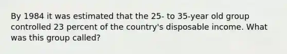 By 1984 it was estimated that the 25- to 35-year old group controlled 23 percent of the country's disposable income. What was this group called?