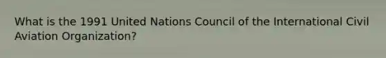 What is the 1991 United Nations Council of the International Civil Aviation Organization?