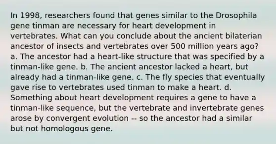 In 1998, researchers found that genes similar to the Drosophila gene tinman are necessary for heart development in vertebrates. What can you conclude about the ancient bilaterian ancestor of insects and vertebrates over 500 million years ago? a. The ancestor had a heart-like structure that was specified by a tinman-like gene. b. The ancient ancestor lacked a heart, but already had a tinman-like gene. c. The fly species that eventually gave rise to vertebrates used tinman to make a heart. d. Something about heart development requires a gene to have a tinman-like sequence, but the vertebrate and invertebrate genes arose by convergent evolution -- so the ancestor had a similar but not homologous gene.