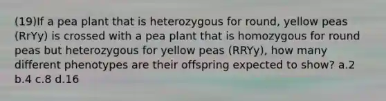 (19)If a pea plant that is heterozygous for round, yellow peas (RrYy) is crossed with a pea plant that is homozygous for round peas but heterozygous for yellow peas (RRYy), how many different phenotypes are their offspring expected to show? a.2 b.4 c.8 d.16