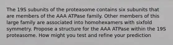 The 19S subunits of the proteasome contains six subunits that are members of the AAA ATPase family. Other members of this large family are associated into homohexamers with sixfold symmetry. Propose a structure for the AAA ATPase within the 19S proteasome. How might you test and refine your prediction