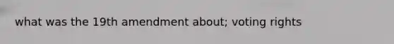 what was the 19th amendment about; voting rights