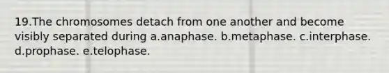 19.The chromosomes detach from one another and become visibly separated during a.anaphase. b.metaphase. c.interphase. d.prophase. e.telophase.