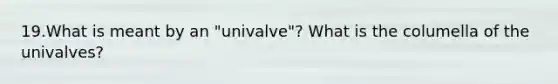 19.What is meant by an "univalve"? What is the columella of the univalves?