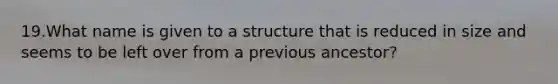 19.What name is given to a structure that is reduced in size and seems to be left over from a previous ancestor?