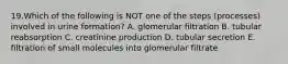 19.Which of the following is NOT one of the steps (processes) involved in urine formation? A. glomerular filtration B. tubular reabsorption C. creatinine production D. tubular secretion E. filtration of small molecules into glomerular filtrate