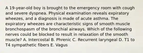 A 19-year-old boy is brought to the emergency room with cough and severe dyspnea. Physical examination reveals expiratory wheezes, and a diagnosis is made of acute asthma. The expiratory wheezes are characteristic signs of smooth muscle bronchospasm of the bronchial airways. Which of the following nerves could be blocked to result in relaxation of the smooth muscle? A. Intercostal B. Phrenic C. Recurrent laryngeal D. T1 to T4 sympathetic fibers E. Vagus