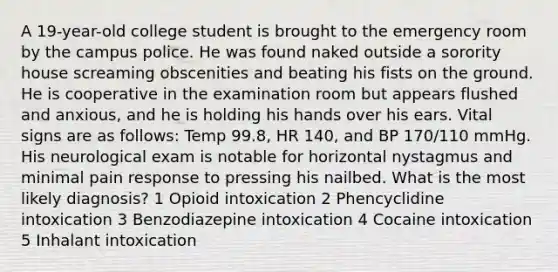 A 19-year-old college student is brought to the emergency room by the campus police. He was found naked outside a sorority house screaming obscenities and beating his fists on the ground. He is cooperative in the examination room but appears flushed and anxious, and he is holding his hands over his ears. Vital signs are as follows: Temp 99.8, HR 140, and BP 170/110 mmHg. His neurological exam is notable for horizontal nystagmus and minimal pain response to pressing his nailbed. What is the most likely diagnosis? 1 Opioid intoxication 2 Phencyclidine intoxication 3 Benzodiazepine intoxication 4 Cocaine intoxication 5 Inhalant intoxication