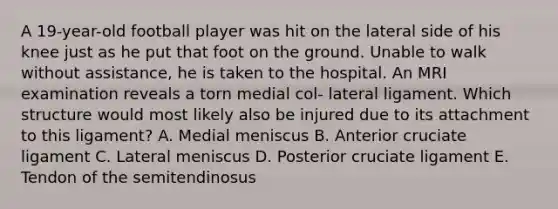 A 19-year-old football player was hit on the lateral side of his knee just as he put that foot on the ground. Unable to walk without assistance, he is taken to the hospital. An MRI examination reveals a torn medial col- lateral ligament. Which structure would most likely also be injured due to its attachment to this ligament? A. Medial meniscus B. Anterior cruciate ligament C. Lateral meniscus D. Posterior cruciate ligament E. Tendon of the semitendinosus