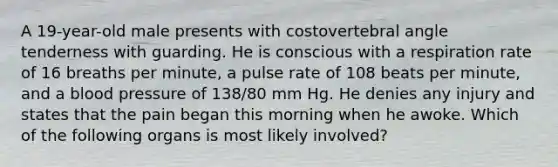 A 19-year-old male presents with costovertebral angle tenderness with guarding. He is conscious with a respiration rate of 16 breaths per minute, a pulse rate of 108 beats per minute, and a blood pressure of 138/80 mm Hg. He denies any injury and states that the pain began this morning when he awoke. Which of the following organs is most likely involved?