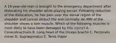 A 19-year-old man is brought to the emergency department after dislocating his shoulder while playing soccer. Following reduction of the dislocation, he has pain over the dorsal region of the shoulder and cannot abduct the arm normally. An MRI of the shoulder shows a torn muscle. Which of the following muscles is most likely to have been damaged by this injury? A. Coracobrachialis B. Long head of the triceps brachii C. Pectoralis minor D. Supraspinatus E. Teres major