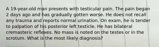 A 19-year-old man presents with testicular pain. The pain began 2 days ago and has gradually gotten worse. He does not recall any trauma and reports normal urination. On exam, he is tender to palpation of his posterior left testicle. He has bilateral cremasteric reflexes. No mass is noted on the testes or in the scrotum. What is the most likely diagnosis?