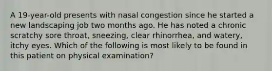 A 19-year-old presents with nasal congestion since he started a new landscaping job two months ago. He has noted a chronic scratchy sore throat, sneezing, clear rhinorrhea, and watery, itchy eyes. Which of the following is most likely to be found in this patient on physical examination?