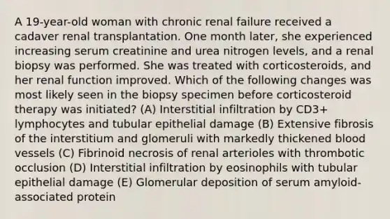 A 19-year-old woman with chronic renal failure received a cadaver renal transplantation. One month later, she experienced increasing serum creatinine and urea nitrogen levels, and a renal biopsy was performed. She was treated with corticosteroids, and her renal function improved. Which of the following changes was most likely seen in the biopsy specimen before corticosteroid therapy was initiated? (A) Interstitial infiltration by CD3+ lymphocytes and tubular epithelial damage (B) Extensive fibrosis of the interstitium and glomeruli with markedly thickened blood vessels (C) Fibrinoid necrosis of renal arterioles with thrombotic occlusion (D) Interstitial infiltration by eosinophils with tubular epithelial damage (E) Glomerular deposition of serum amyloid-associated protein