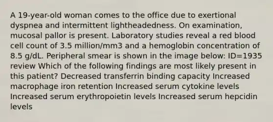 A 19-year-old woman comes to the office due to exertional dyspnea and intermittent lightheadedness. On examination, mucosal pallor is present. Laboratory studies reveal a red blood cell count of 3.5 million/mm3 and a hemoglobin concentration of 8.5 g/dL. Peripheral smear is shown in the image below: ID=1935 review Which of the following findings are most likely present in this patient? Decreased transferrin binding capacity Increased macrophage iron retention Increased serum cytokine levels Increased serum erythropoietin levels Increased serum hepcidin levels