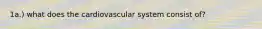 1a.) what does the cardiovascular system consist of?