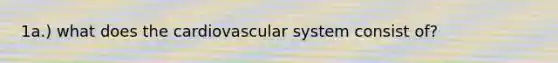 1a.) what does the cardiovascular system consist of?