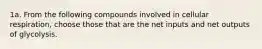 1a. From the following compounds involved in cellular respiration, choose those that are the net inputs and net outputs of glycolysis.