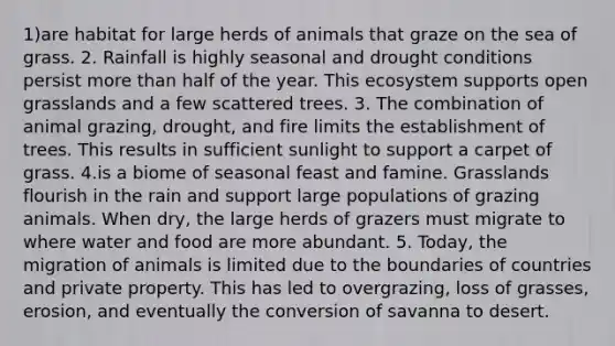 1)are habitat for large herds of animals that graze on the sea of grass. 2. Rainfall is highly seasonal and drought conditions persist more than half of the year. This ecosystem supports open grasslands and a few scattered trees. 3. The combination of animal grazing, drought, and fire limits the establishment of trees. This results in sufficient sunlight to support a carpet of grass. 4.is a biome of seasonal feast and famine. Grasslands flourish in the rain and support large populations of grazing animals. When dry, the large herds of grazers must migrate to where water and food are more abundant. 5. Today, the migration of animals is limited due to the boundaries of countries and private property. This has led to overgrazing, loss of grasses, erosion, and eventually the conversion of savanna to desert.