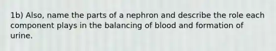 1b) Also, name the parts of a nephron and describe the role each component plays in the balancing of blood and formation of urine.