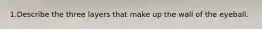 1.Describe the three layers that make up the wall of the eyeball.