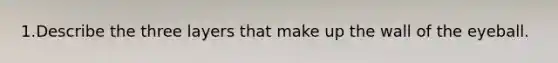 1.Describe the three layers that make up the wall of the eyeball.