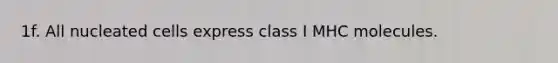 1f. All nucleated cells express class I MHC molecules.