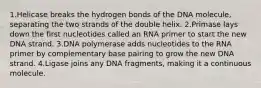 1.Helicase breaks the hydrogen bonds of the DNA molecule, separating the two strands of the double helix. 2.Primase lays down the first nucleotides called an RNA primer to start the new DNA strand. 3.DNA polymerase adds nucleotides to the RNA primer by complementary base pairing to grow the new DNA strand. 4.Ligase joins any DNA fragments, making it a continuous molecule.