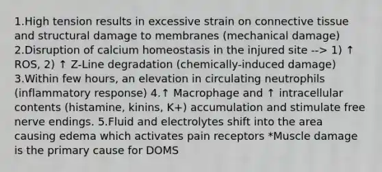 1.High tension results in excessive strain on connective tissue and structural damage to membranes (mechanical damage) 2.Disruption of calcium homeostasis in the injured site --> 1) ↑ ROS, 2) ↑ Z-Line degradation (chemically-induced damage) 3.Within few hours, an elevation in circulating neutrophils (inflammatory response) 4.↑ Macrophage and ↑ intracellular contents (histamine, kinins, K+) accumulation and stimulate free nerve endings. 5.Fluid and electrolytes shift into the area causing edema which activates pain receptors *Muscle damage is the primary cause for DOMS