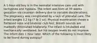 A 1-hour-old boy is in the neonatal intensive care unit with tachypnea and hypoxia. The infant was born at 39 weeks gestation via cesarean delivery due to variable decelerations. The pregnancy was complicated by a lack of prenatal care. The infant weighs 3.2 kg (7 lb 1 oz). Physical examination shows a flattened nose and bilateral club feet. Breath sounds are markedly diminished bilaterally. The infant is intubated and mechanically ventilated, but his oxygen levels do not improve. The infant dies 1 hour later. Which of the following is most likely to be found during autopsy?