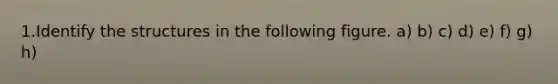 1.Identify the structures in the following figure. a) b) c) d) e) f) g) h)