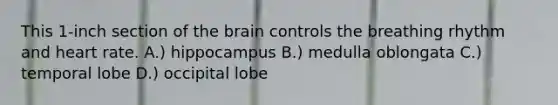 This 1-inch section of <a href='https://www.questionai.com/knowledge/kLMtJeqKp6-the-brain' class='anchor-knowledge'>the brain</a> controls the breathing rhythm and heart rate. A.) hippocampus B.) medulla oblongata C.) temporal lobe D.) occipital lobe