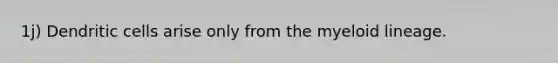 1j) Dendritic cells arise only from the myeloid lineage.