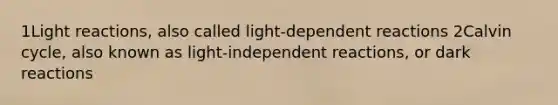 1Light reactions, also called light-dependent reactions 2Calvin cycle, also known as light-independent reactions, or dark reactions