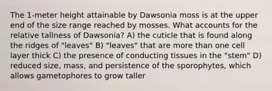 The 1-meter height attainable by Dawsonia moss is at the upper end of the size range reached by mosses. Wha<a href='https://www.questionai.com/knowledge/k7x83BRk9p-t-accounts' class='anchor-knowledge'>t accounts</a> for the relative tallness of Dawsonia? A) the cuticle that is found along the ridges of "leaves" B) "leaves" that are <a href='https://www.questionai.com/knowledge/keWHlEPx42-more-than' class='anchor-knowledge'>more than</a> one cell layer thick C) the presence of conducting tissues in the "stem" D) reduced size, mass, and persistence of the sporophytes, which allows gametophores to grow taller