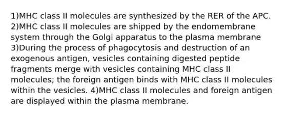 1)MHC class II molecules are synthesized by the RER of the APC. 2)MHC class II molecules are shipped by the endomembrane system through the Golgi apparatus to the plasma membrane 3)During the process of phagocytosis and destruction of an exogenous antigen, vesicles containing digested peptide fragments merge with vesicles containing MHC class II molecules; the foreign antigen binds with MHC class II molecules within the vesicles. 4)MHC class II molecules and foreign antigen are displayed within the plasma membrane.