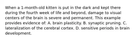 When a 1-month-old kitten is put in the dark and kept there during the fourth week of life and beyond, damage to visual centers of the brain is severe and permanent. This example provides evidence of: A. brain plasticity. B. synaptic pruning. C. lateralization of the cerebral cortex. D. sensitive periods in brain development.