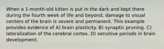 When a 1-month-old kitten is put in the dark and kept there during the fourth week of life and beyond, damage to visual centers of the brain is severe and permanent. This example provides evidence of A) brain plasticity. B) synaptic pruning. C) lateralization of the cerebral cortex. D) sensitive periods in brain development.