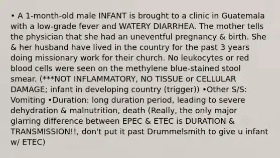 • A 1-month-old male INFANT is brought to a clinic in Guatemala with a low-grade fever and WATERY DIARRHEA. The mother tells the physician that she had an uneventful pregnancy & birth. She & her husband have lived in the country for the past 3 years doing missionary work for their church. No leukocytes or red blood cells were seen on the methylene blue-stained stool smear. (***NOT INFLAMMATORY, NO TISSUE or CELLULAR DAMAGE; infant in developing country (trigger)) •Other S/S: Vomiting •Duration: long duration period, leading to severe dehydration & malnutrition, death (Really, the only major glarring difference between EPEC & ETEC is DURATION & TRANSMISSION!!, don't put it past Drummelsmith to give u infant w/ ETEC)