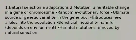 1.Natural selection à adaptations 2.Mutation: a heritable change in a gene or chromosome •Random evolutionary force •Ultimate source of genetic variation in the gene pool •Introduces new alleles into the population •Beneficial, neutral or harmful (depends on environment) •Harmful mutations removed by natural selection