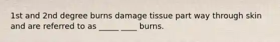 1st and 2nd degree burns damage tissue part way through skin and are referred to as _____ ____ burns.