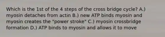 Which is the 1st of the 4 steps of the cross bridge cycle? A.) myosin detaches from actin B.) new ATP binds myosin and myosin creates the "power stroke" C.) myosin crossbridge formation D.) ATP binds to myosin and allows it to move