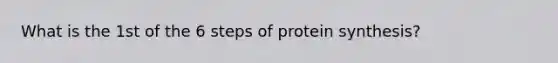 What is the 1st of the 6 steps of protein synthesis?