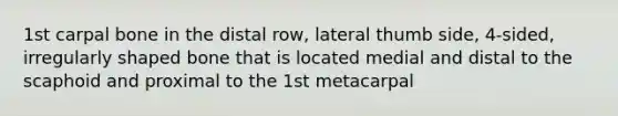 1st carpal bone in the distal row, lateral thumb side, 4-sided, irregularly shaped bone that is located medial and distal to the scaphoid and proximal to the 1st metacarpal