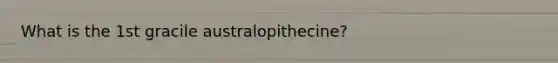 What is the 1st gracile australopithecine?