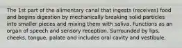 The 1st part of the alimentary canal that ingests (receives) food and begins digestion by mechanically breaking solid particles into smaller pieces and mixing them with saliva. Functions as an organ of speech and sensory reception. Surrounded by lips, cheeks, tongue, palate and includes oral cavity and vestibule.