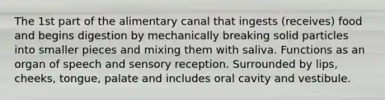 The 1st part of the alimentary canal that ingests (receives) food and begins digestion by mechanically breaking solid particles into smaller pieces and mixing them with saliva. Functions as an organ of speech and sensory reception. Surrounded by lips, cheeks, tongue, palate and includes oral cavity and vestibule.