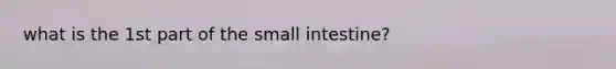 what is the 1st part of the small intestine?