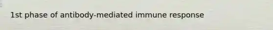 1st phase of antibody-mediated immune response